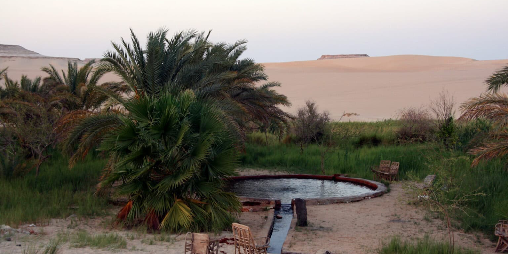 From Sand Baths to Hot Springs: Here are Egypt's Top Health Tourism Destinations