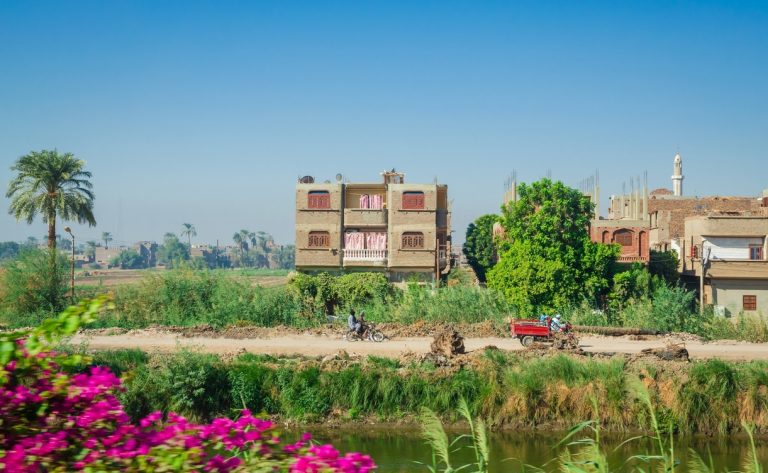 The Culinary Heritage of Rural Egypt and its Historic Roots | Egyptian ...
