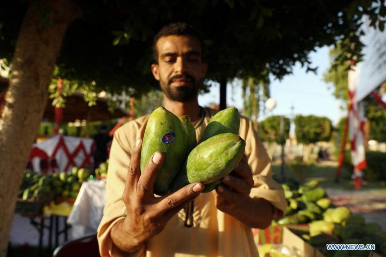 4 Ways to Have Egyptian Mangoes This Summer Egyptian Streets