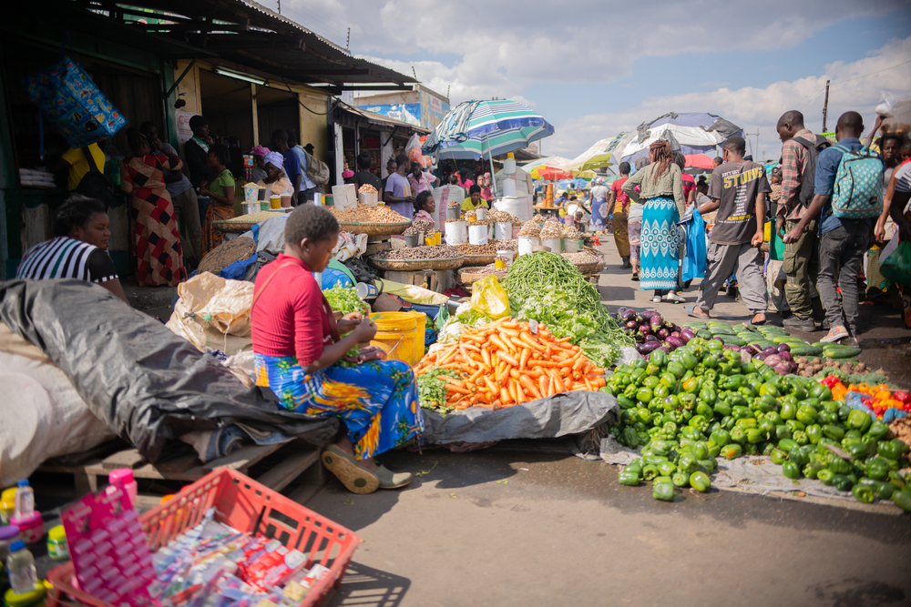 Unveiling Zambia’s Cultural Tapestry: Lessons on Diversity and Acceptance  Egyptian Streets