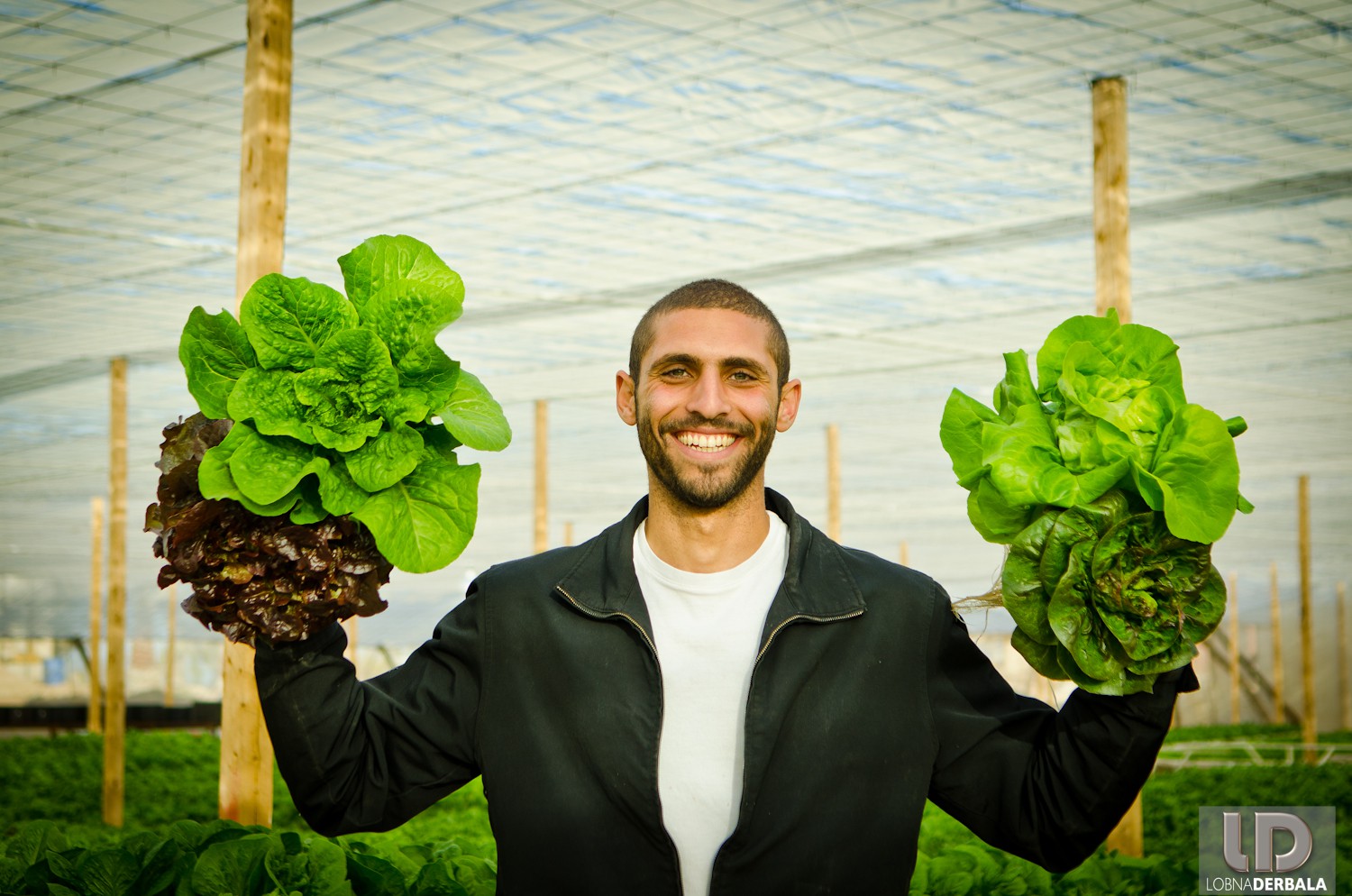 Egyptian Entrepreneur Amr Bassiouny Killed in His Sheikh Zayed Home