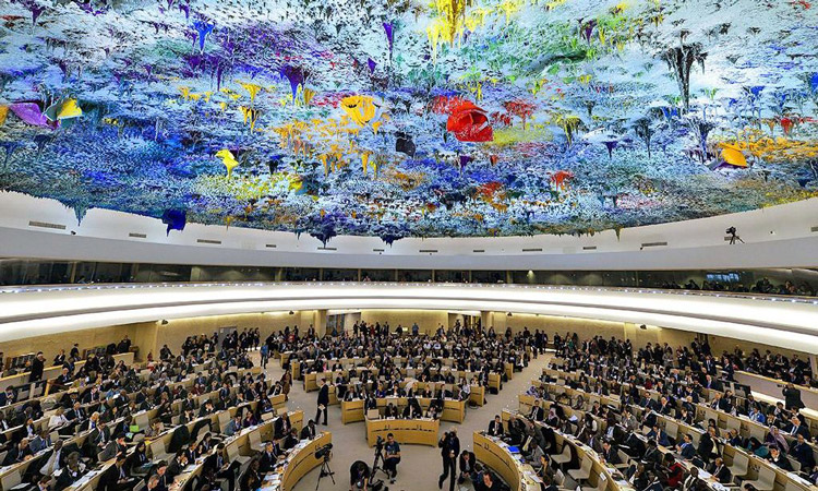 Egypt Secures Seat on UN Human Rights Council for 2026–2028