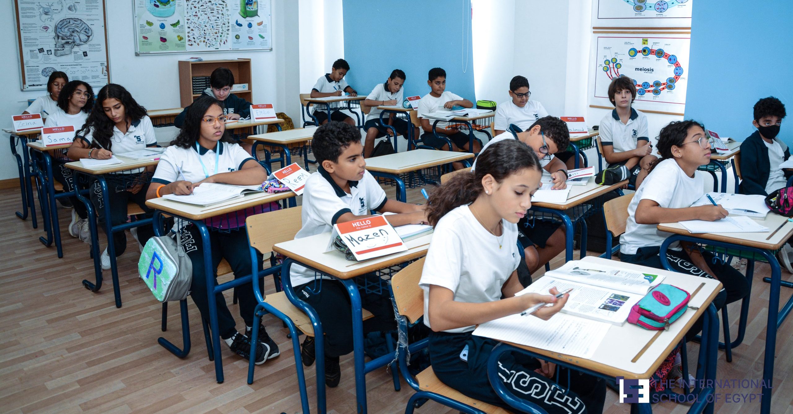 How the Gap Between Spoken and Written Arabic Shapes Early Literacy in Egypt