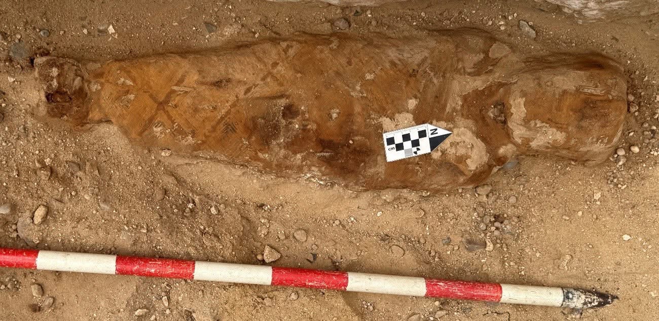 Ancient Mummy Found with Iliad Text