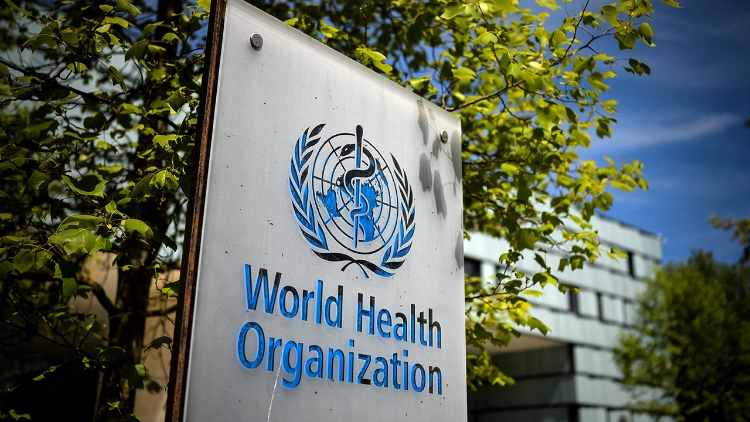 WHO Assesses Ebola Transmission Risk to Egypt as L