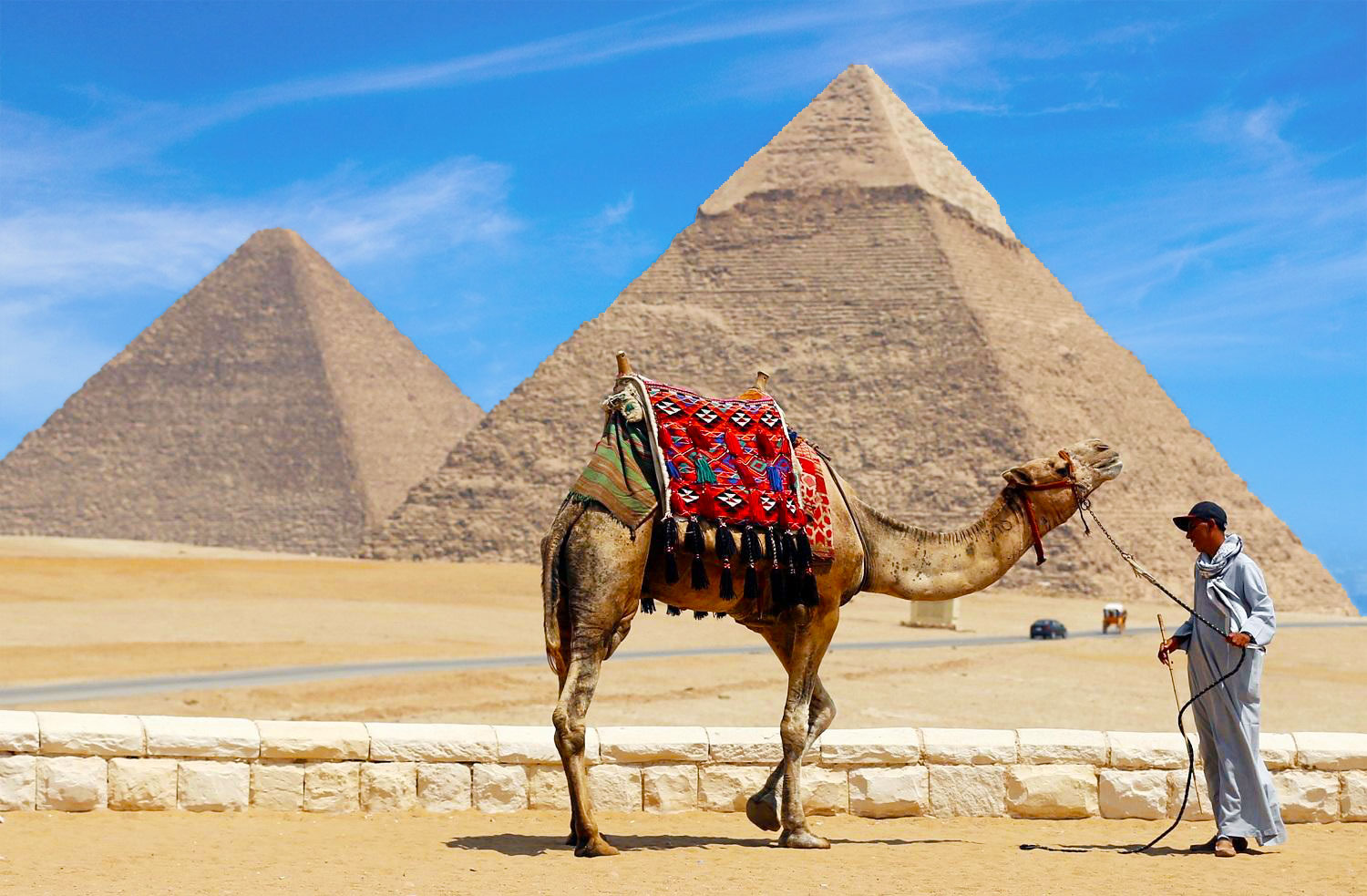 Egypt Introduces Smart Licenses for Tourist Guides Egypt Introduces Smart Licenses for Tourist Guides