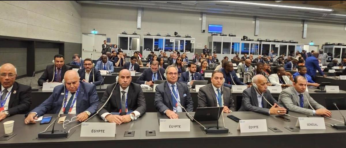 Egypt Welcomes ILO Resolution Enabling Palestine&rsquo;s Participation