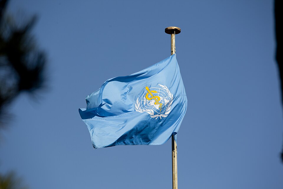 Egypt FETP Designated by WHO as First Epidemiology Focused Collaborating Centre in the Region Egypt FETP Designated by WHO as First Epidemiology Focused Collaborating Centre in the Region